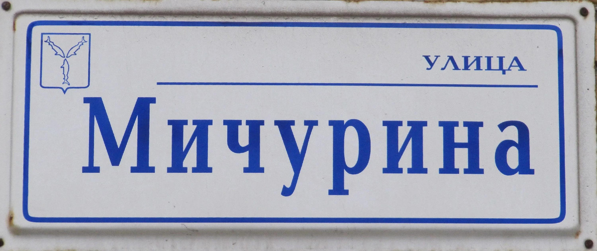 Улица Мичурина