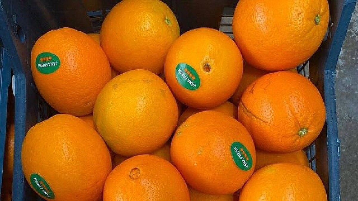    Фото: Южное межрегиональное управление Россельхознадзора