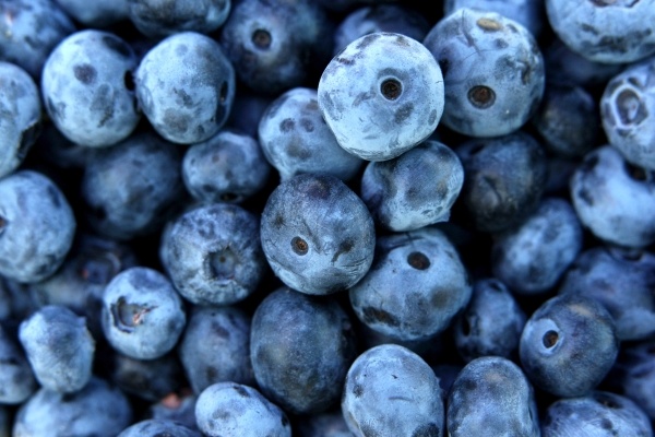 Фото: РИА Новости/Виталий Аньков