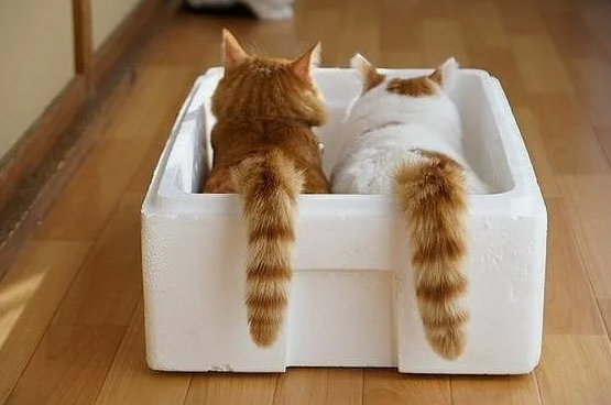 Фото с сайта Pinterest