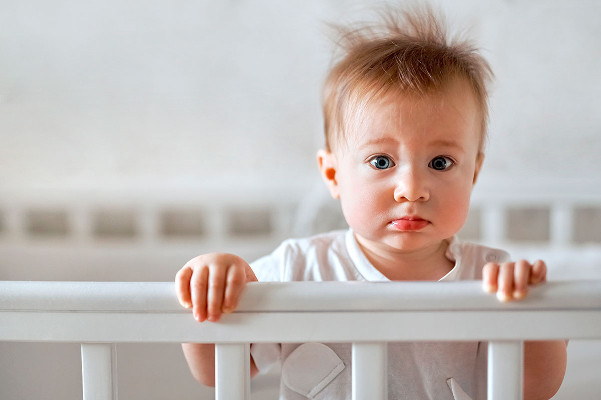    Фото: turtix / Shutterstock.com