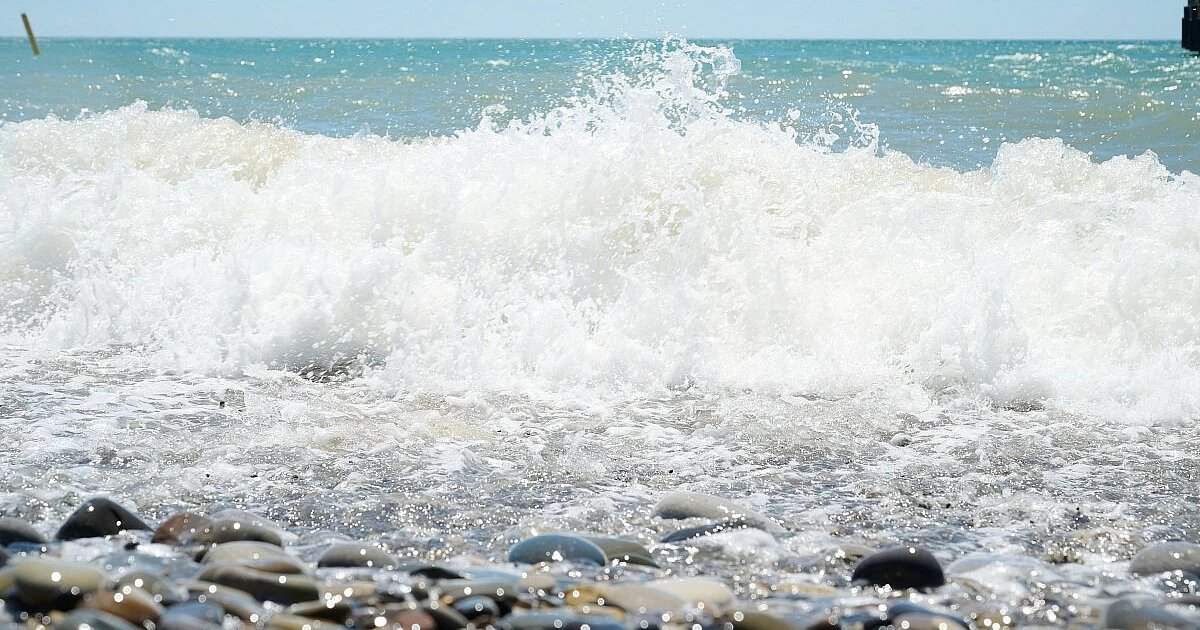 Фото: пресс-служба администрации Сочи