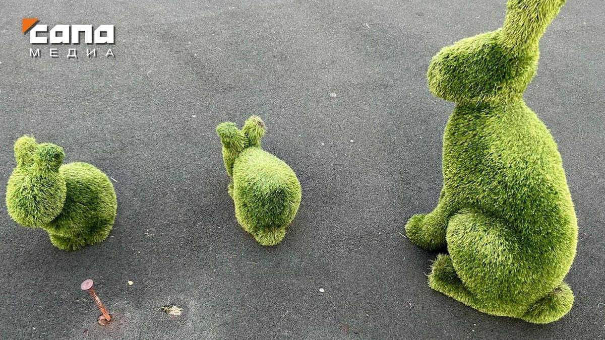    Фото: Сапа-15