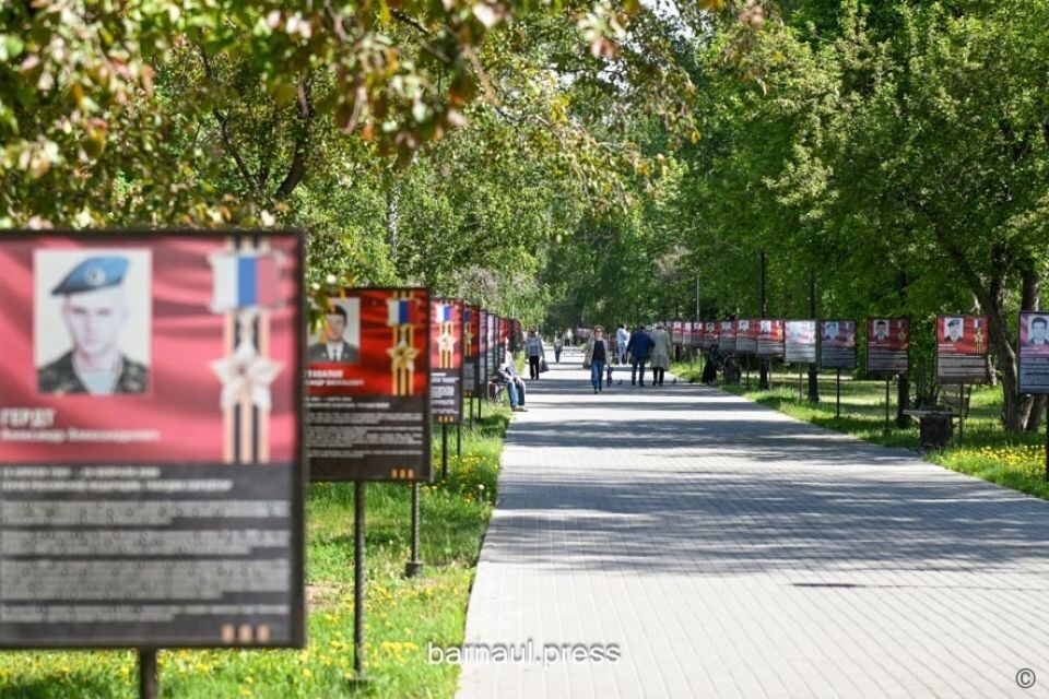    Аллея по улице Малахова в Барнауле. Источник: barnaul.org