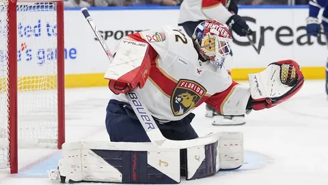 Боб в матче, из открытых источников в Интернете 