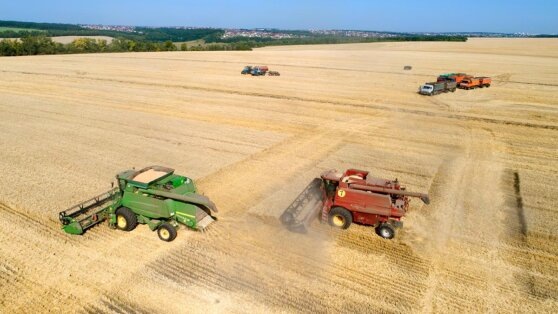    Компактную систему экологического мониторинга на биоэлектричестве разработали в России © Nikolay Gyngazov/Global Look Press