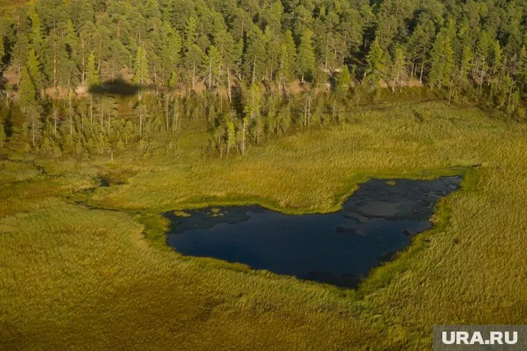 В ХМАО 22 мая стартует Международная экологическая акция «Спасти и сохранить». Фото: Александр Кулаковский © URA.RU