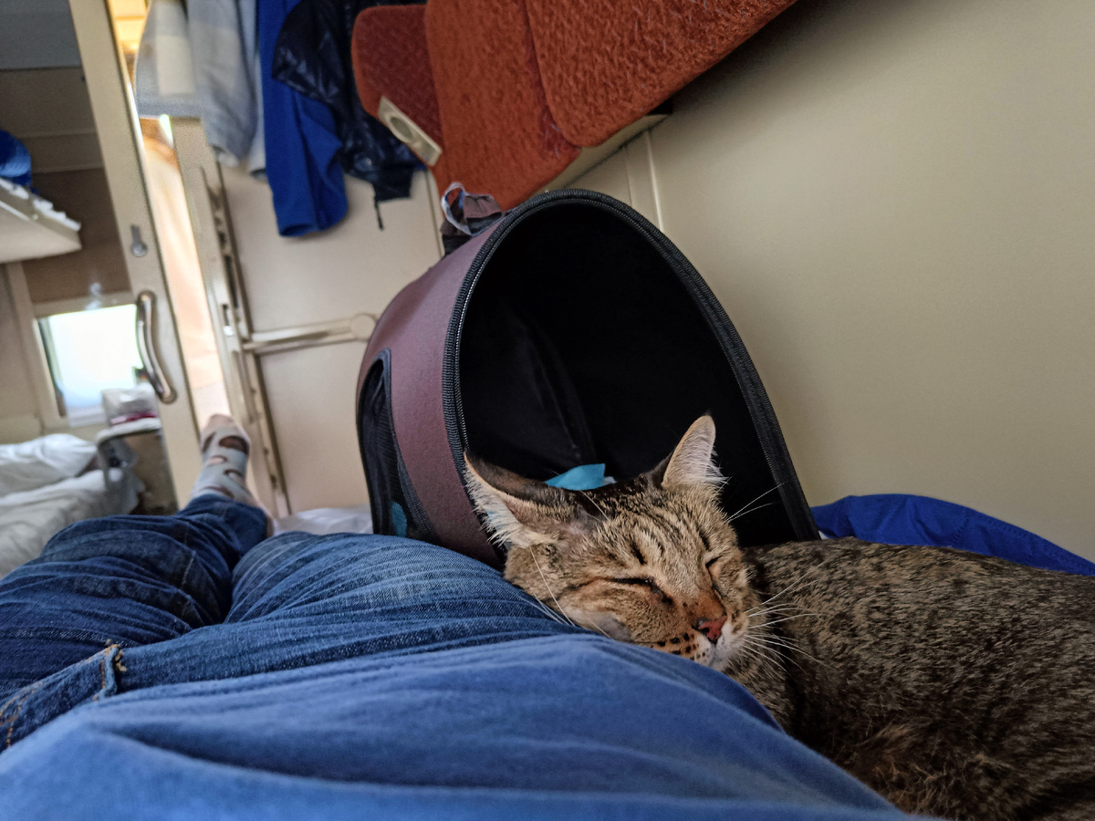 едем домой после облучения