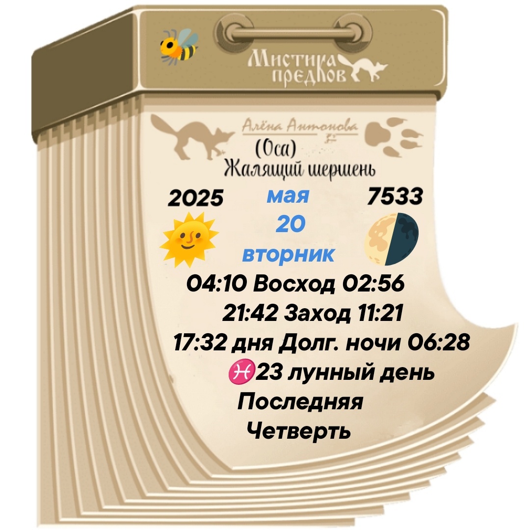 @babka_echzka  ЕленушкаЕВАнтонова-Опарина 💕 /