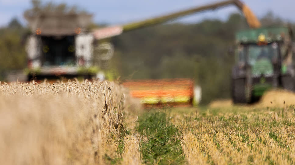 Фото: Александр Подгорчук / Коммерсантъ