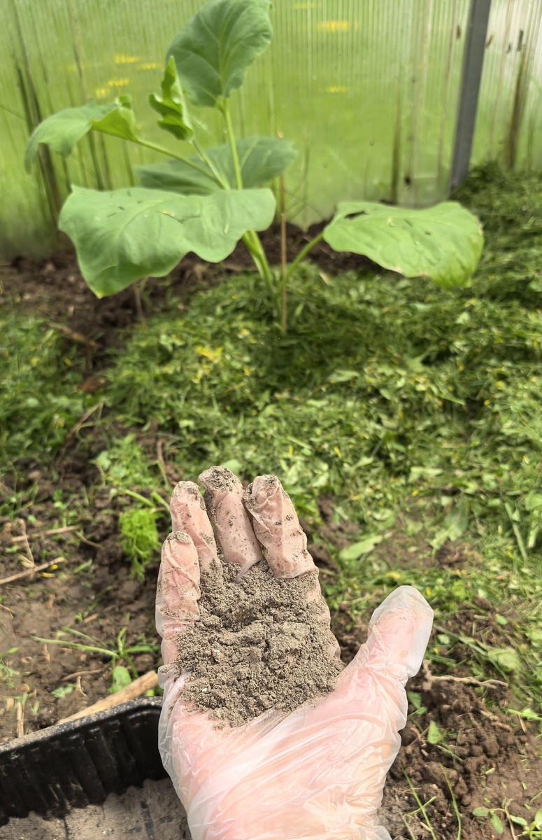 Древесная зола