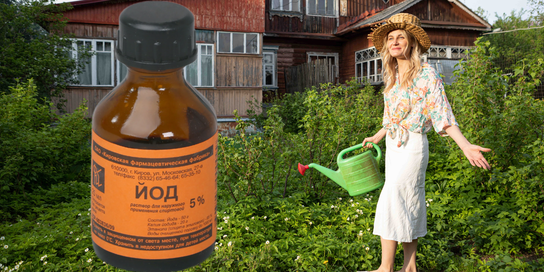 Йод из аптеки. А действительно ли полезны подкормки йодом для растений