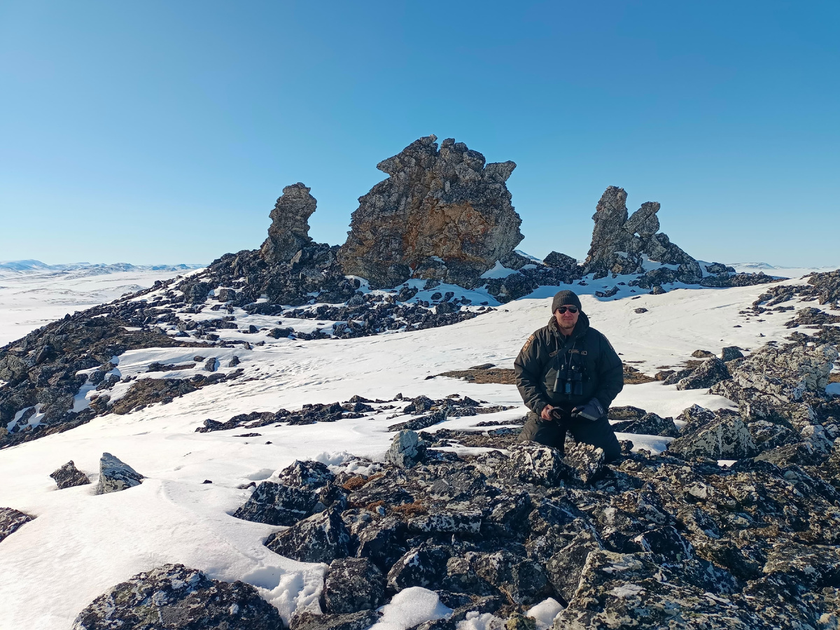 Денис Васильев. Подножие горы Двуглавой, остров Врангеля, 2025-й год