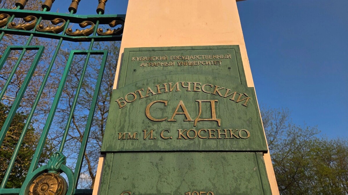     Автор: KubanPress