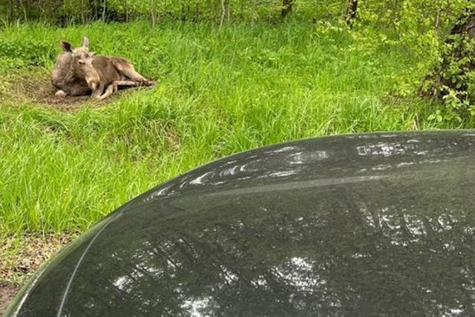 Фото: соцсети