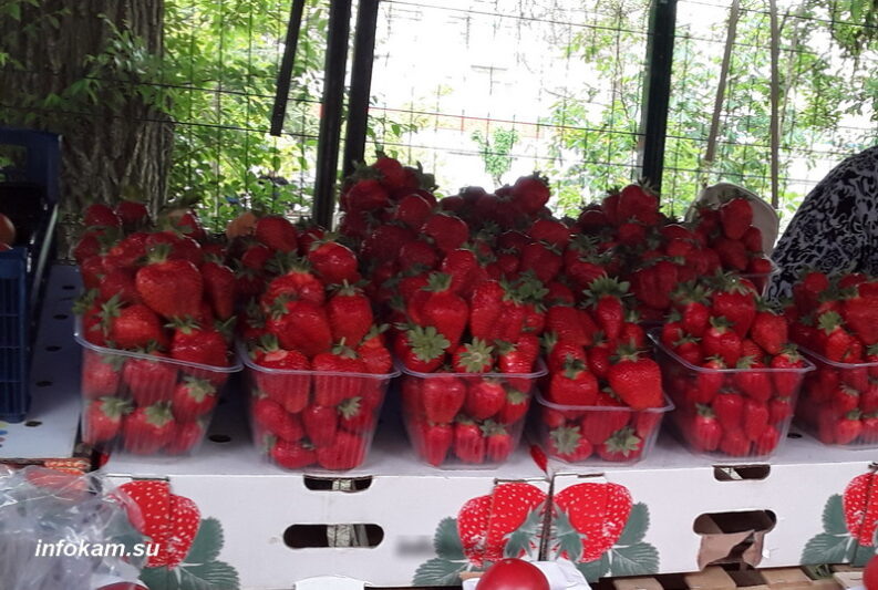    Камышинская клубника