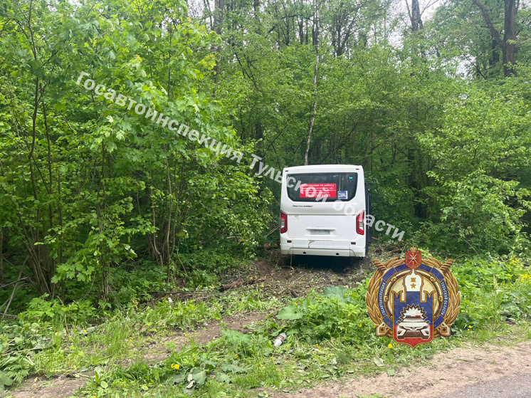     Фото: пресс-служба управления ГАИ по Тульской области