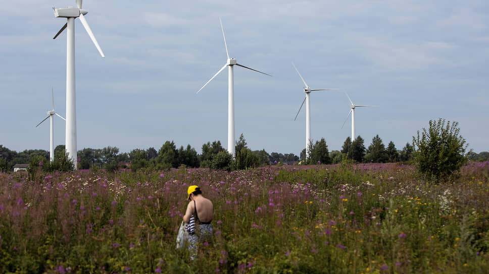 Фото: Александр Подгорчук / Коммерсантъ