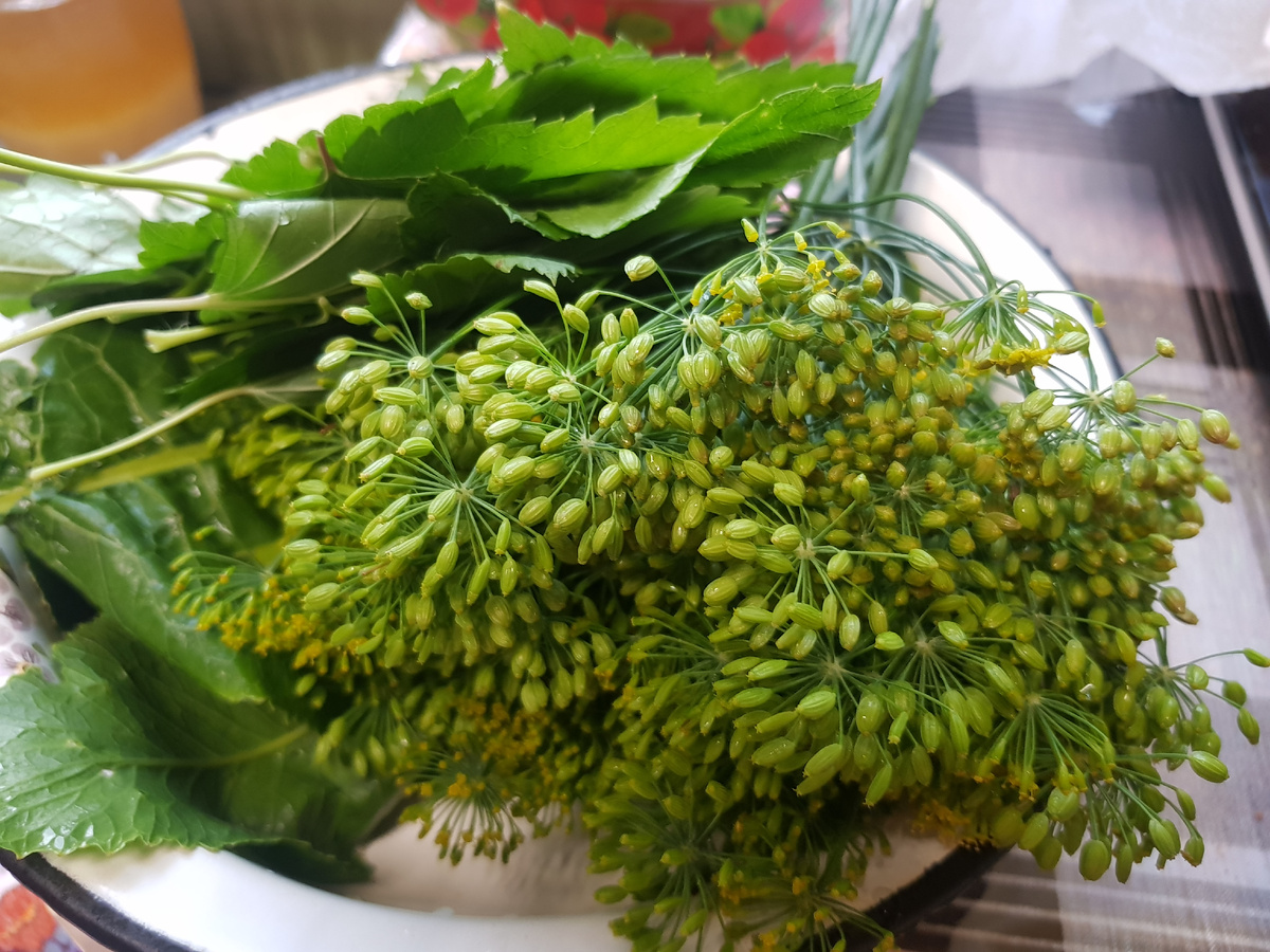 набор зелени