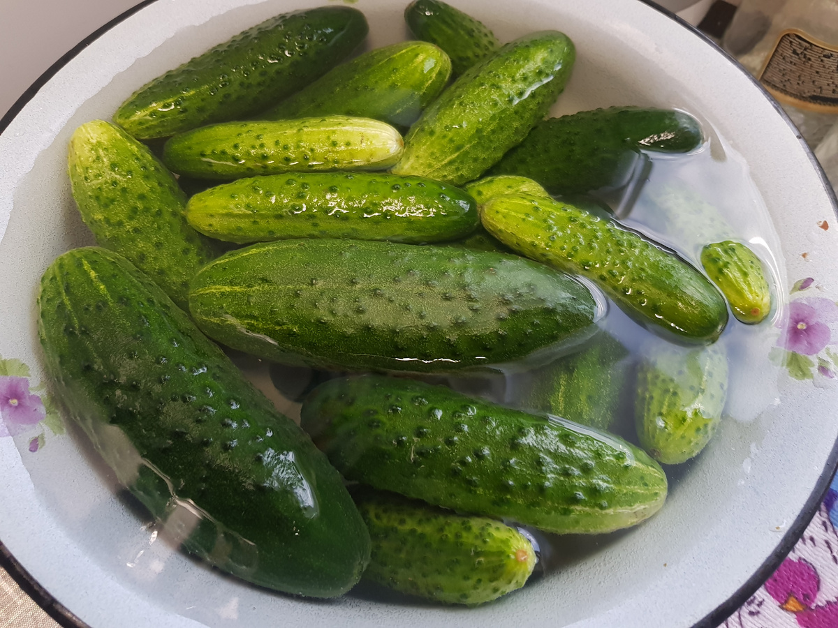 всплывают, но это не критично