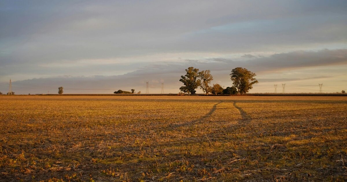 Фото: Esteban Trivelli / Unsplash
