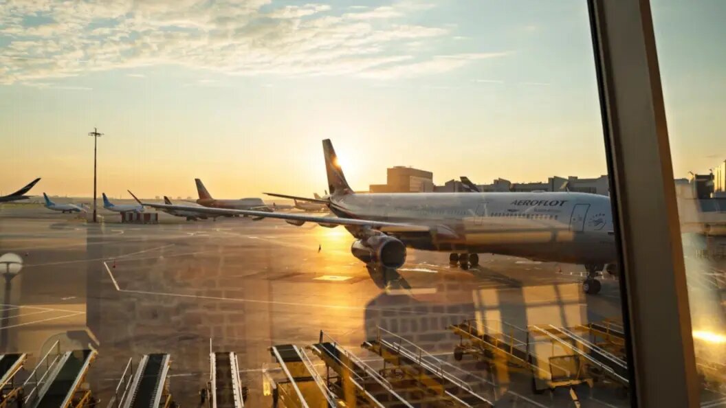    Фото: ad-foto/shutterstock