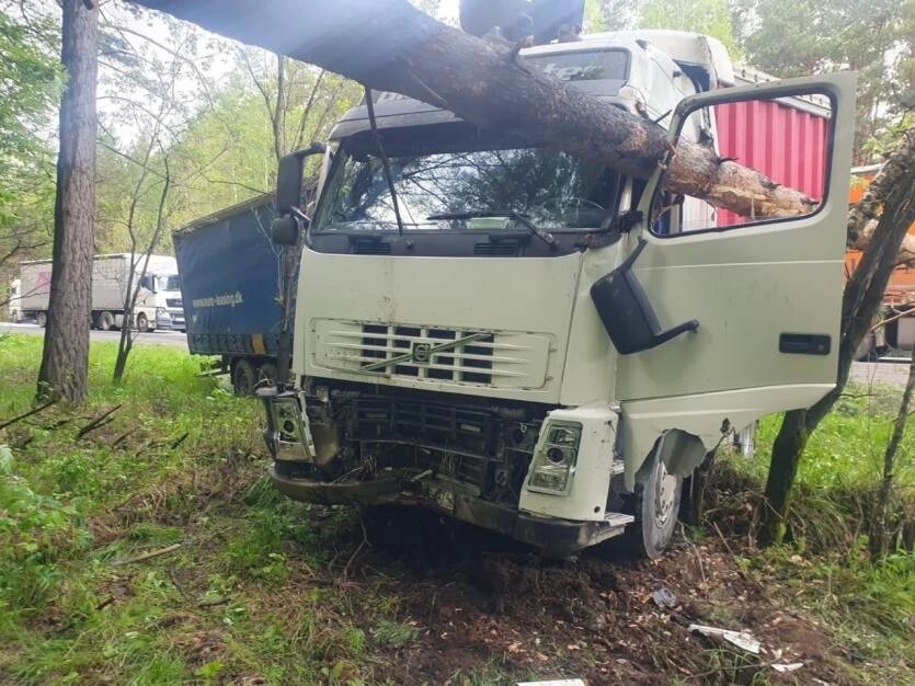 Фото: Поисково-спасательная служба Челябинской области