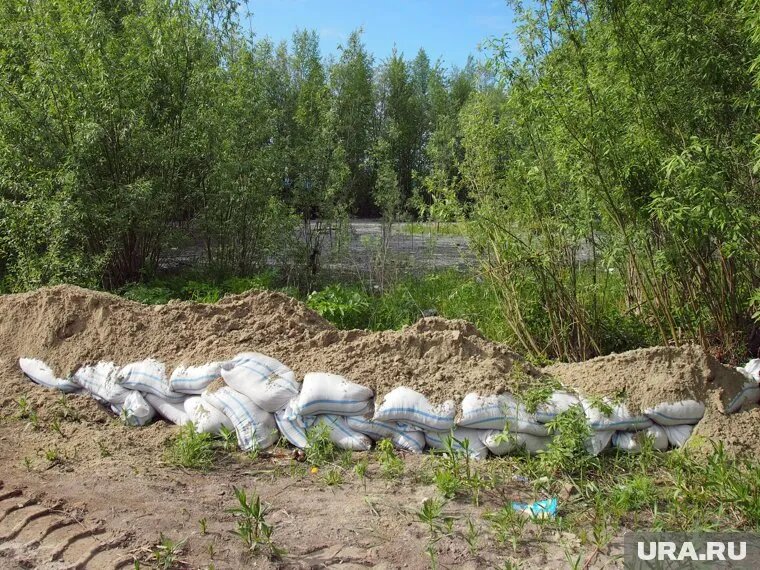 В Нижневартовске отсыпают песком дачные кооперативы, которым грозит паводок. Фото: Кристина Радионова © URA.RU
