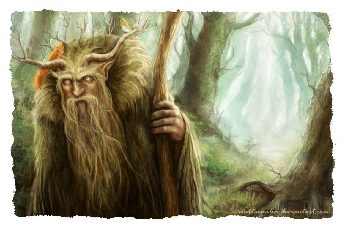 Фото из Яндекса