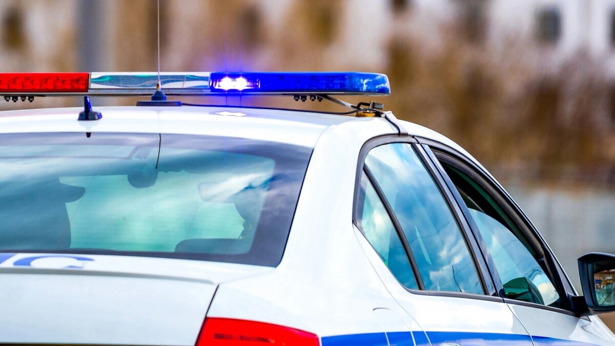    Фото: Evgenii Panov / Shutterstock / Fotodom