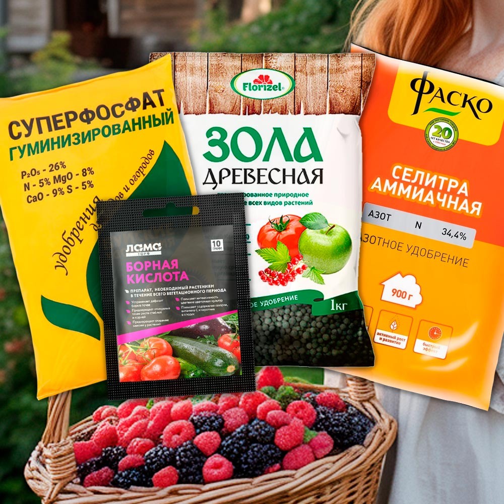 Удобрения для ягодных кустарников