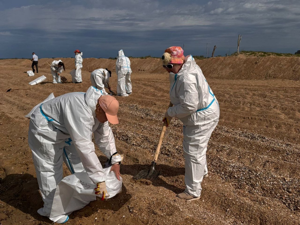    Фото: Оперштаб Кубани