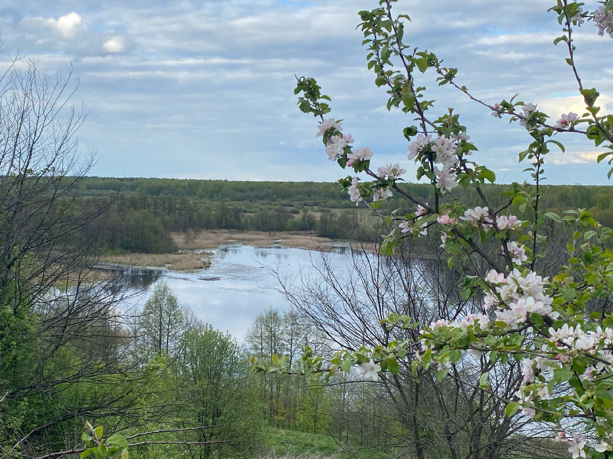 Вид на Мстёрку со старого кладбища