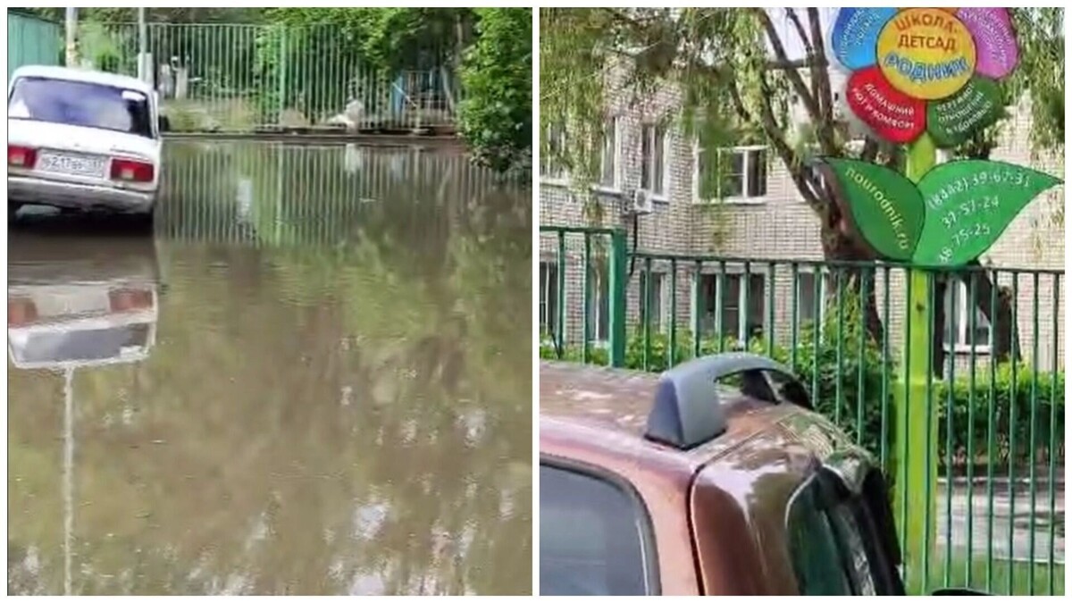     Источник: novostivolgograda.ru