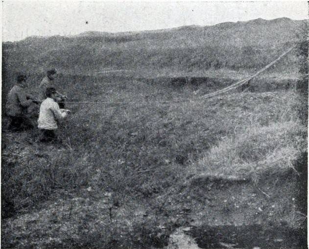 Киборги Сталина