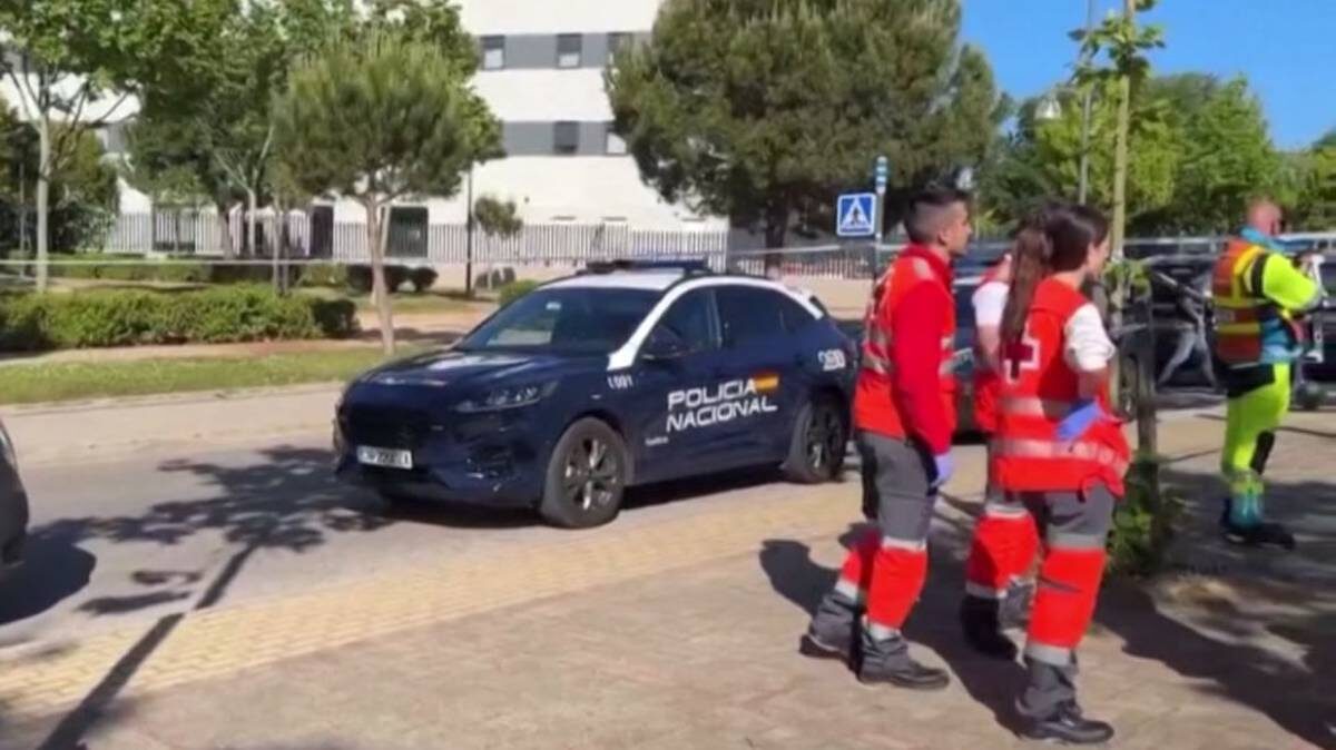    Фото: Скриншот видео ABC