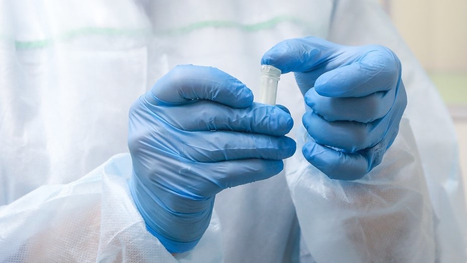    Автор фото: Сергей Коньков / "ДП"