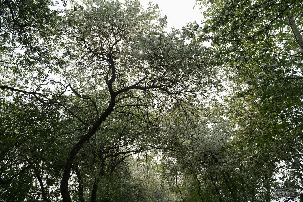    Фото: Лидия Аникина © ИА «Уральский меридиан»