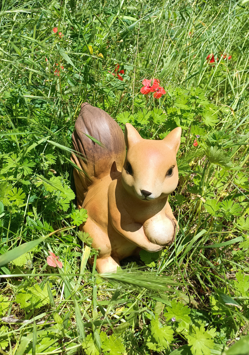 Белочка Абрикоска.