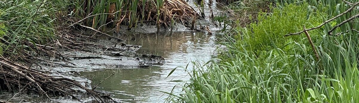    Фото: Наталья Баженова