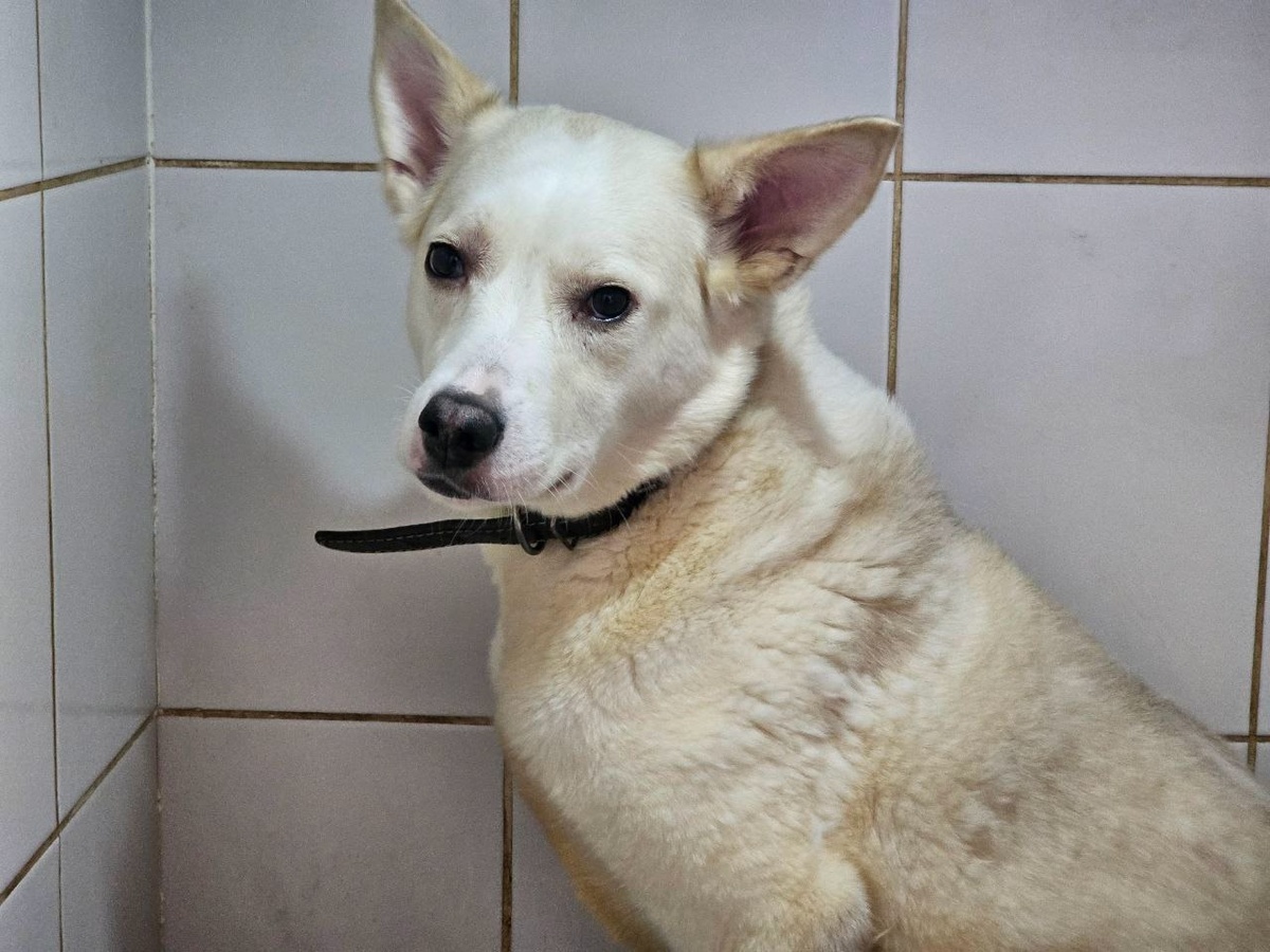 Альпочка уже научилась жить с такой особенностью.