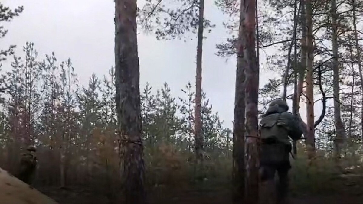    Фото: t.me/mod_russia