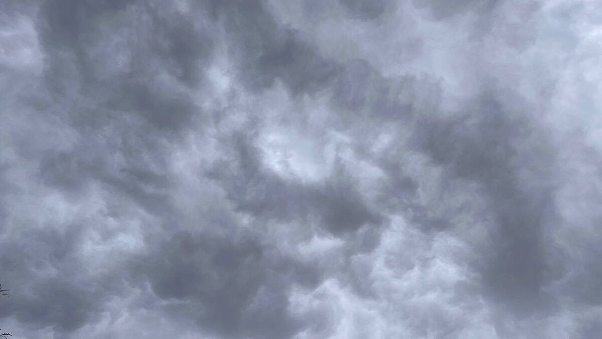    Фото: телеканал «Краснодар»