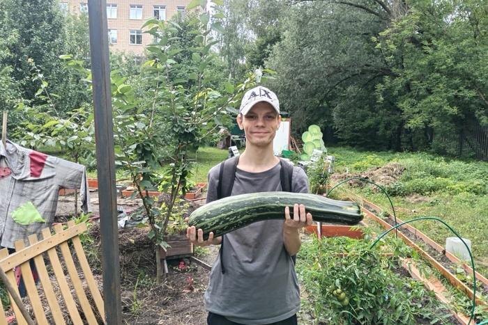 Такие кабачки выросли в первый год работы "Городской дачи". фото предоставлено социальным домом "Лосиноостровский"