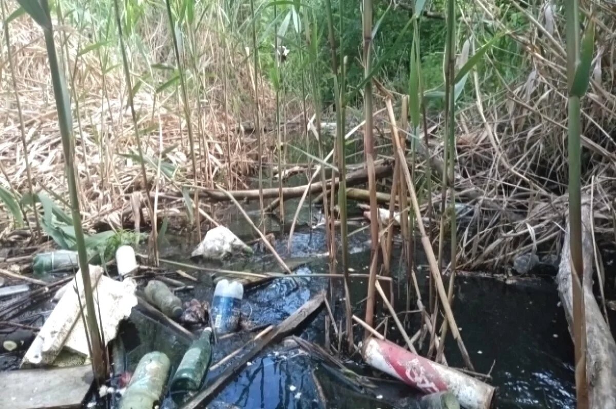    Активные горожане собираются очистить историческую канаву на юге Волгограда