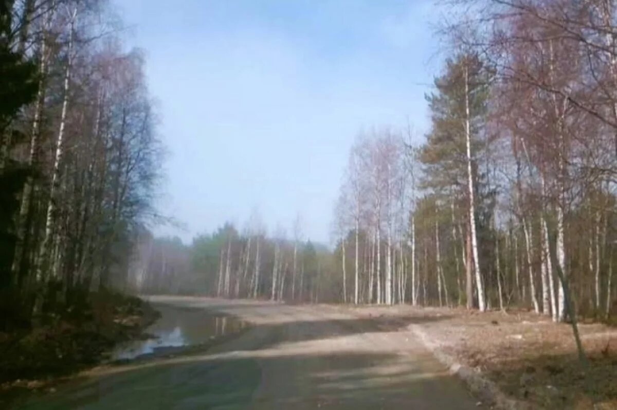    На дорогах в Пряжинском районе выявили ряд нарушений