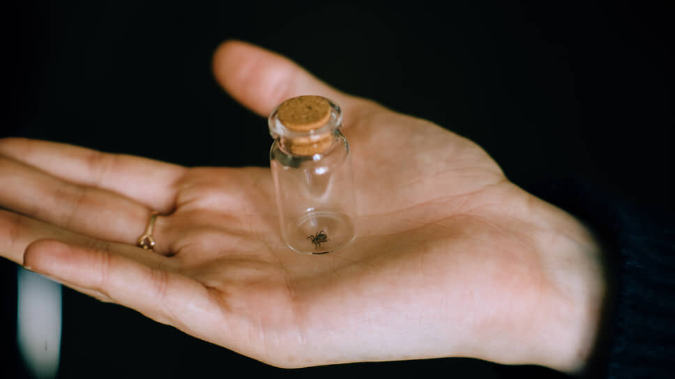 Фото: Мария Бакланова / Коммерсантъ