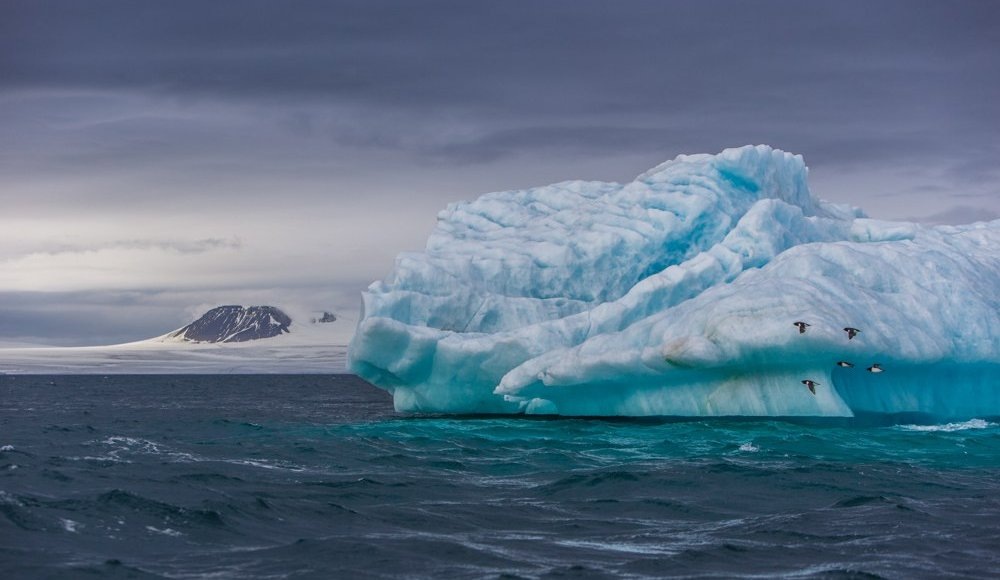    Нацпарк Русская Арктика / Фото Николая Гернета