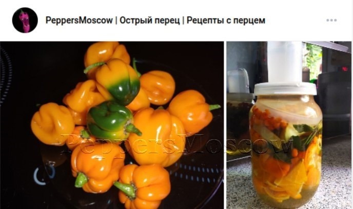 Ферментация: Хабанеро желтый, Апельсин и его цедра, Мята, Облепиха, Яблоко.