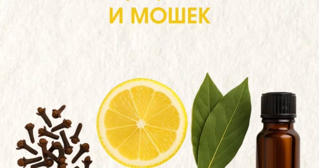 Натуральные средства от клещей, комаров и мошек